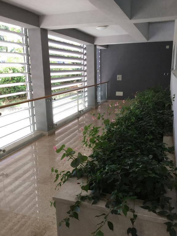 Alessia Apartments-Top Location And Garage Parking Ρόβινι Εξωτερικό φωτογραφία
