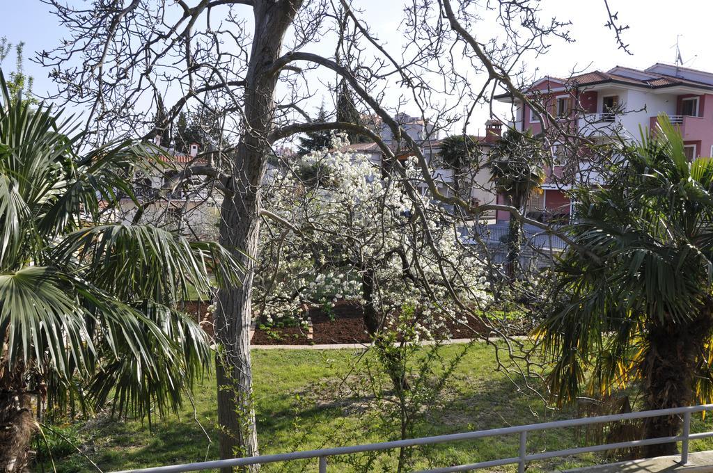 Alessia Apartments-Top Location And Garage Parking Ρόβινι Εξωτερικό φωτογραφία